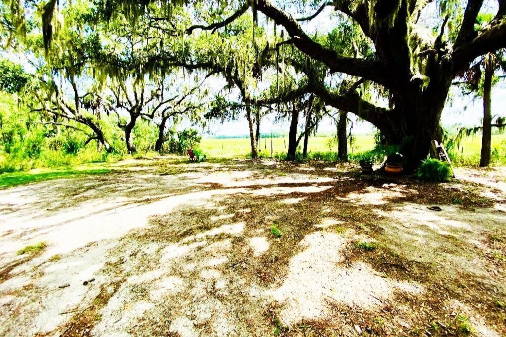 Secluded Tiny House By The Marsh With Hunting Island Beach Pass Frogmore Exterior photo